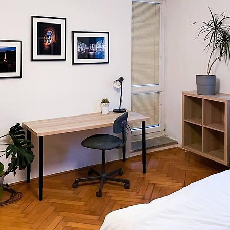 Rodinny Byt Pro 4 Na Brno-Stred エクステリア 写真