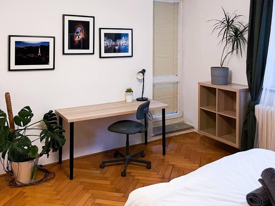 Rodinny Byt Pro 4 Na Brno-Stred エクステリア 写真
